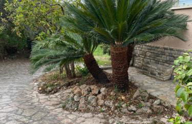 Il giardino delle Cycas - Foto 1