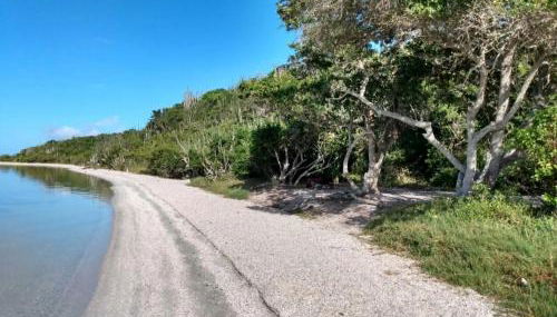 Casa oliveira - Foto 3