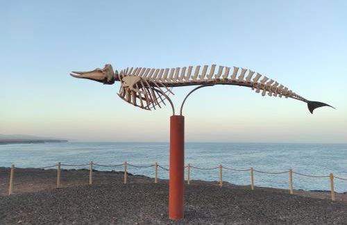 Enjoy Cotillo - Foto 47