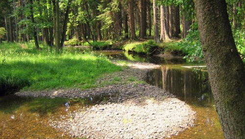 Ferienhaus Pöttgen - Foto 5