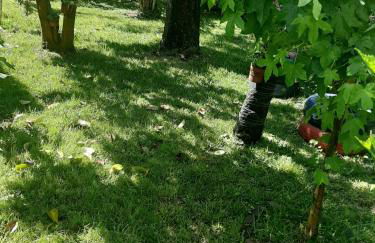 Casa do Sr. Falcão - Foto 68