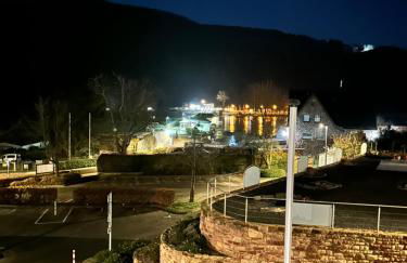 Seeblick Hotel und Ferienwohnungen Obermaubach - Foto 8