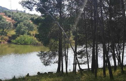 Finca el Vizconde - Naturaleza con tus hijos - Foto 34