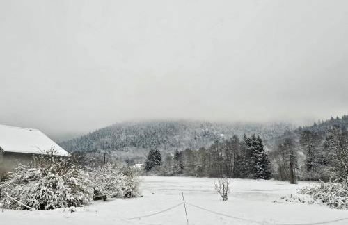 Maison au pied des 1000 étangs - Foto 58