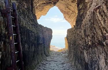 Les charmes Du Bosquet Parc d'Amour et Nature Parking Privé Sécurisé - Foto 18