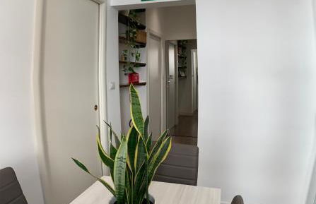 San Lorenzo Elegance Suites - just steps from the Colosseum - Photo 26