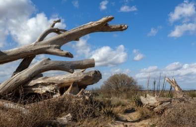 Vue imprenable sur mer- La perle de Saint Pierre La Mer - Foto 42