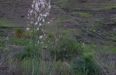 Casa El Pino - Foto 25