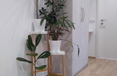 OLIVA 4 STARS - Photo 39