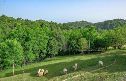 Apartment in Istria With Nature Views - Foto 54