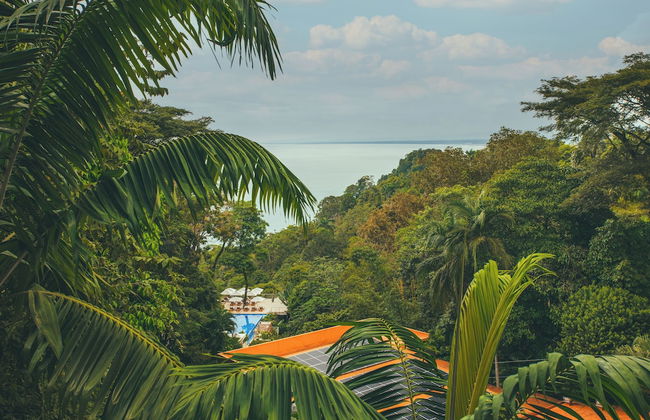 Los Altos Resort - Foto 42