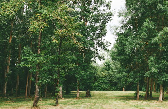 Modern Holiday Home With Dishwasher - Foto 30