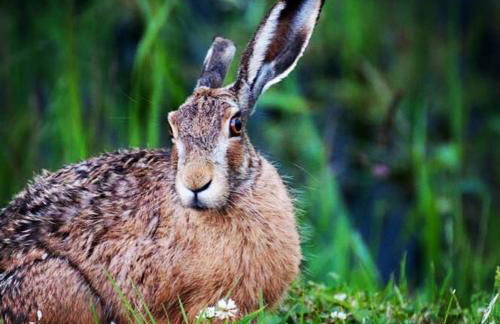 Miła Dolina - Foto 63