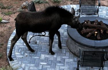 Meandering Moose Apartment Vacation Rental - Foto 70