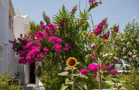 Wisteria Apartments - Foto 20