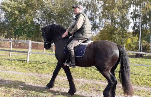 Gospodarstwo agroturystyczne - Foto 62