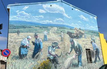 Su Tostobiu - Foto 33