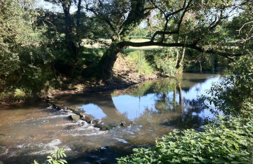 Ivythorpe Coach House - Foto 14