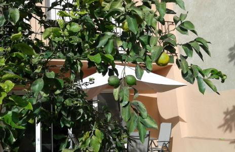 Holiday home Splendid Park Güell - Foto 10