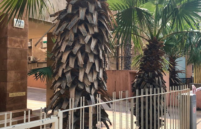 Comfort & Balcony near Beach by FeelHome - Photo 25