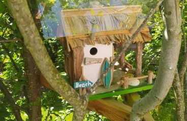 Beach & Birds - Foto 16