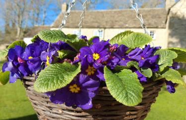 Thames Head Wharf - Historic Cotswold Cottage with Stunning Countryside Views - Foto 37