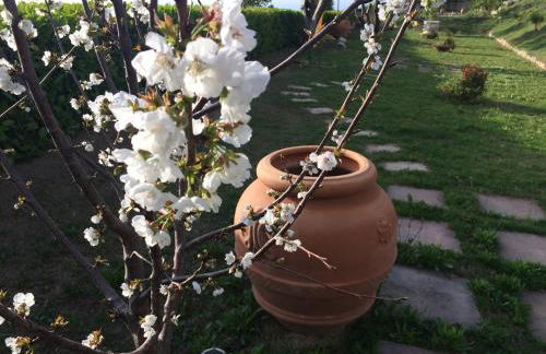 Villa Del Conte - Foto 68