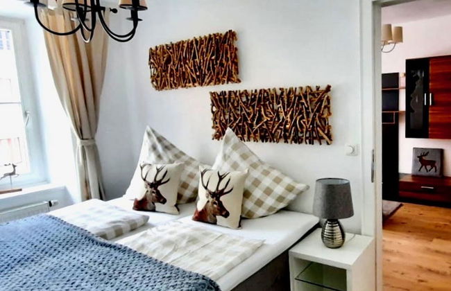 Belle Kitz Pure - Foto 5