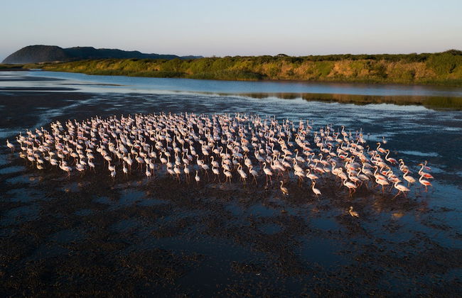Pelican s Nest Holiday Home St Lucia - Foto 33