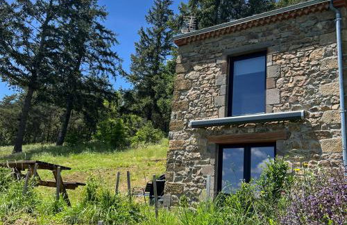 Maison de vigne rénovée à Langeac, nature et randonnées - FR-1-582-86 - Foto 18