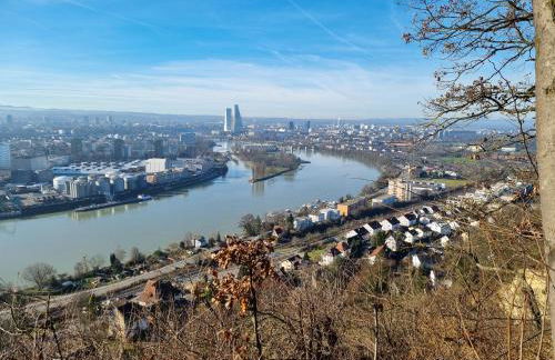 Regio Basiliensis - Foto 1
