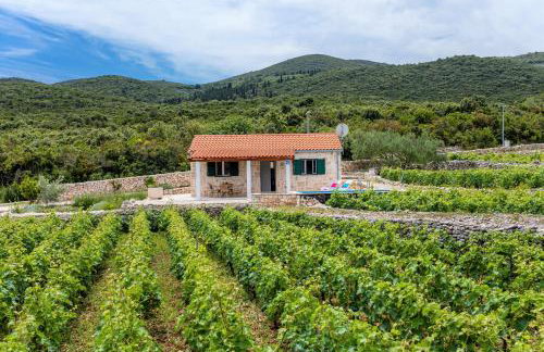 Vineyard House & Olive Grove House - Photo 6