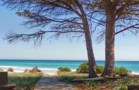 Patio House - Foto 67