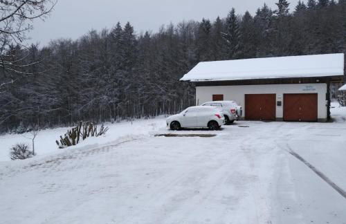 Haus Jägerfleck, Ihre Ferienwohnungen am Nationalpark Bayerischer Wald - Foto 38