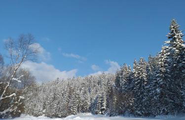 Domek pod Groniem - Photo 11