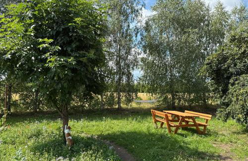 Apartamenty i Winnica - Siedlisko Na Polanie - Foto 10