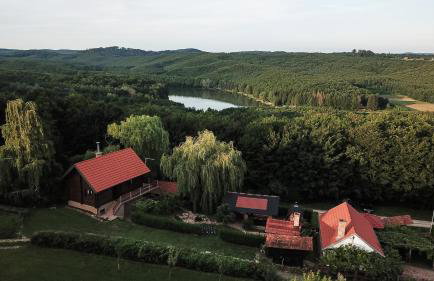 Garić Bajka - Foto 1