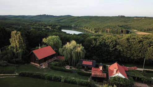Garić Bajka - Foto 1