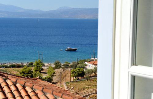 Hydra Erato - Foto 31