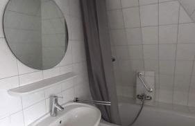 Seepferdchen - Foto 13