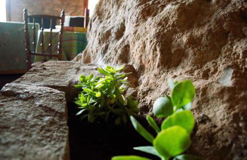 La Casita del Cinglo - Foto 21