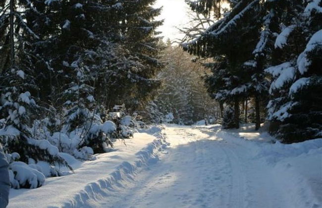 Bungalow Near Eifel Ski Lift - Foto 21