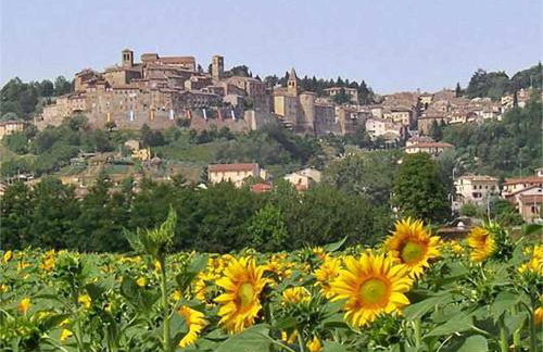 Appartamenti con cucina nelle colline toscane - Foto 42