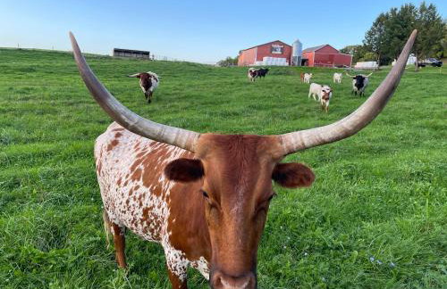 Charming Farmhouse Retreat - Foto 1