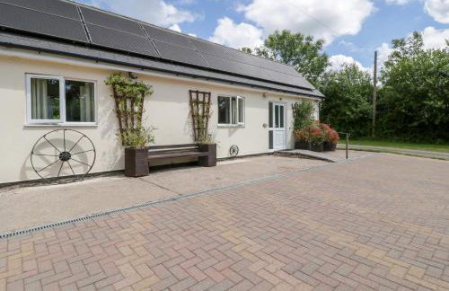 The Turbles - Wagtail - Foto 1