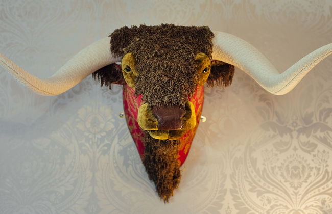 Elm Grove Country House - Foto 74