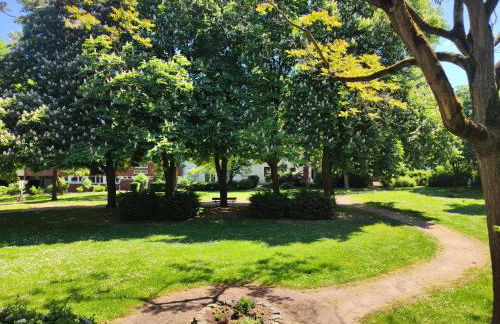 Parkblick Apartment Weißenthurm Nähe Koblenz - Foto 2