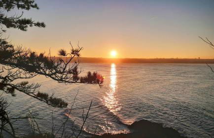 Villa de la Presqu'île Hillion - Foto 21