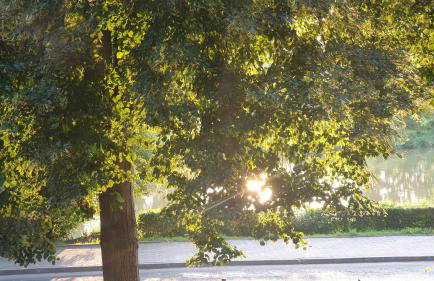 Willa Piwniczka Apartament Jahlowej - Foto 12