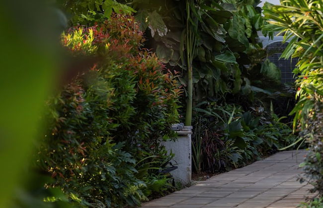 Seré Resort Goa - Photo 66